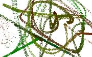wildrollercoaster