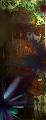 TallLights