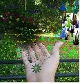 The Power of Earth