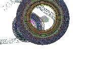 donuttires