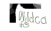 wildcats