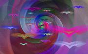 rainbowbird