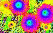poppyfieldtrio