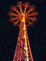 steeple chase illuminated