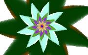 msm flower