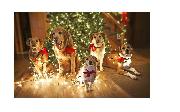 dogdogdogchristmas