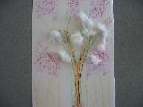 cotton tree
