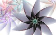 angelpetals