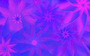 starwallpaper