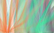 tulle