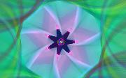 emergingsoul