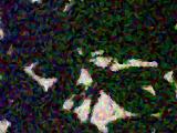 Mosaic based on shadows on a wall from leaves