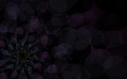 Jan_21_no_04