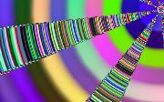 Feb_08_no_03aa