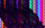 Feb_08_no_06