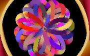 Feb_08_no_06