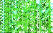 bambooboo