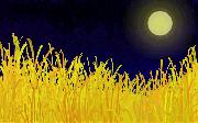 Harvest Moon
