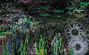 Dark Field