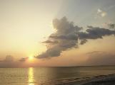 TEst 1