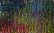 grass_symphonyy