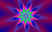 star_flowers