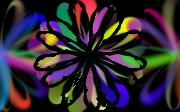 black_iris