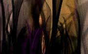 Inthegrasses
