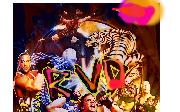 RVD3