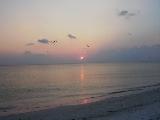 sunset late