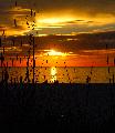 sunset through the sea oats
