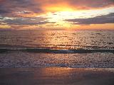 Winter in Florida