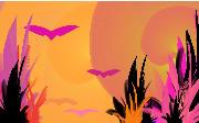 tropical sunset
