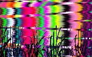 sunset_pond