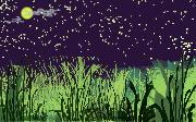starrrynight