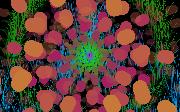 Joyful_joyful