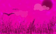 Pinkness
