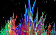 grass_lights