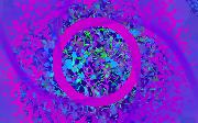 middle_of_the_flux