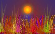 hot_day