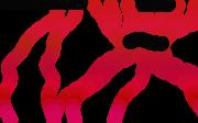 squiggly_2