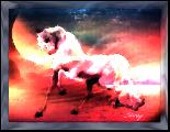 Dream Dancer