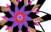 thecolorsorlife