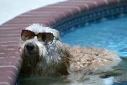 Summer Fun