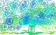 circle birds