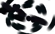 crazydots