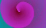 snail