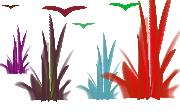 grassandbirds