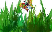 Butterfly in the grass