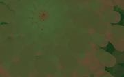 greenpink